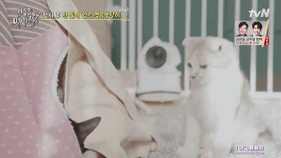 你喜欢的是他的容颜还是灵魂,你是爱她的皮囊还是灵魂