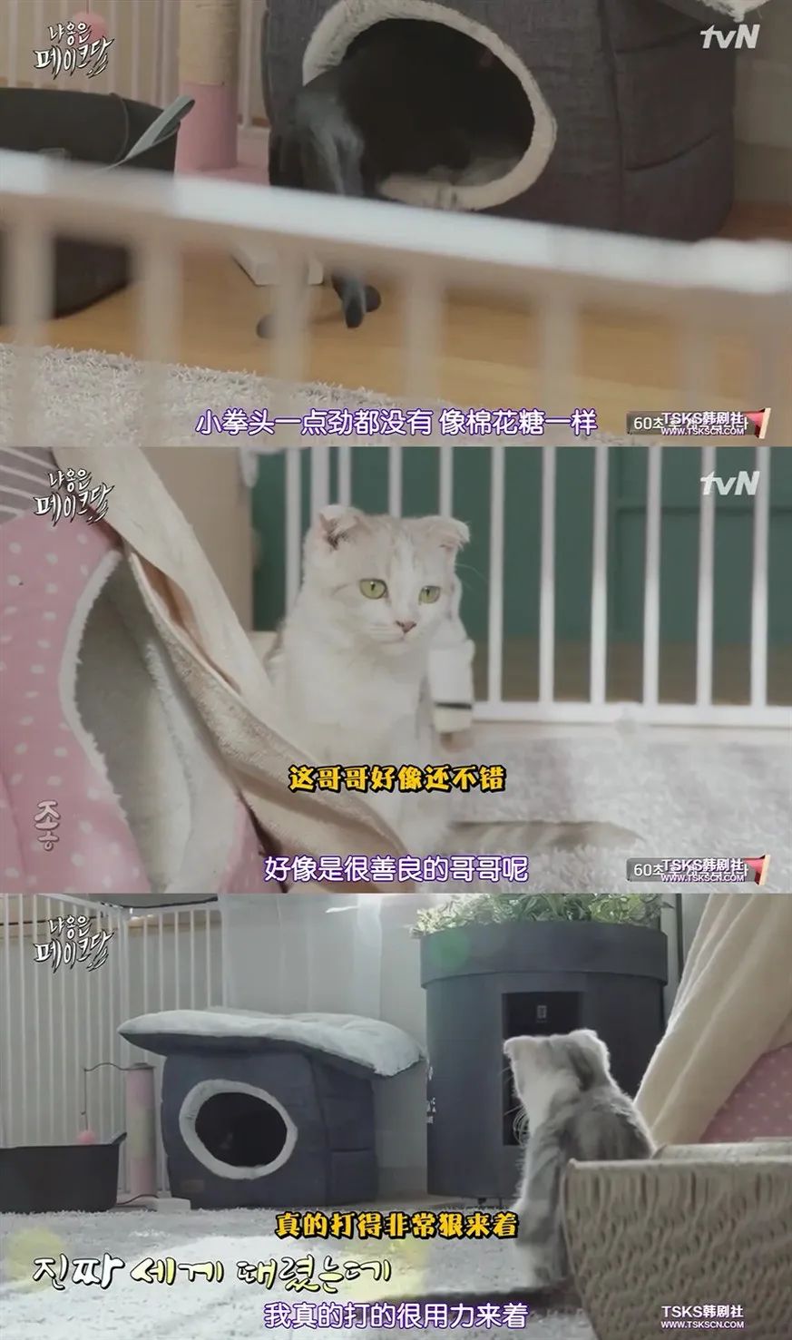 你喜欢的是他的容颜还是灵魂,你是爱她的皮囊还是灵魂