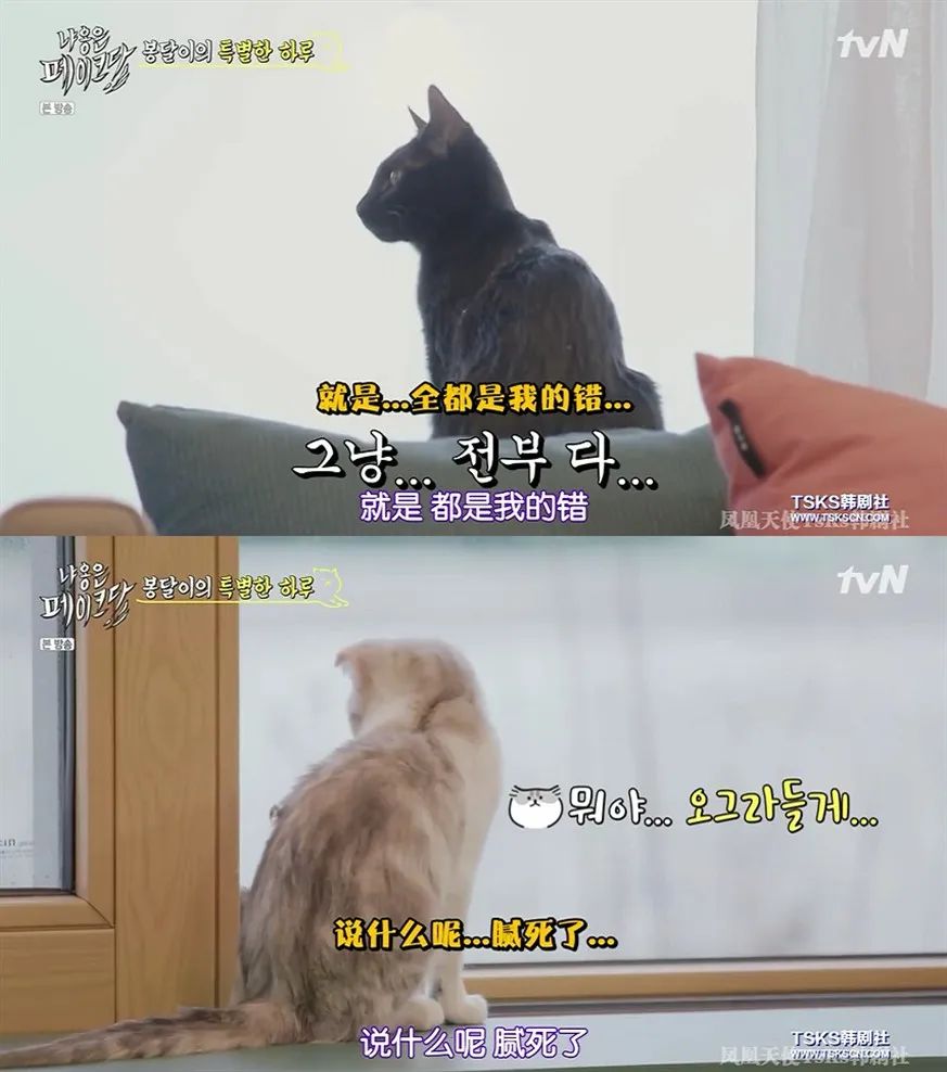 你喜欢的是他的容颜还是灵魂,你是爱她的皮囊还是灵魂