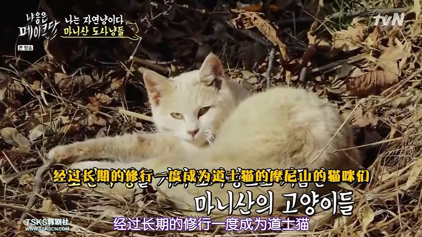 你喜欢的是他的容颜还是灵魂,你是爱她的皮囊还是灵魂