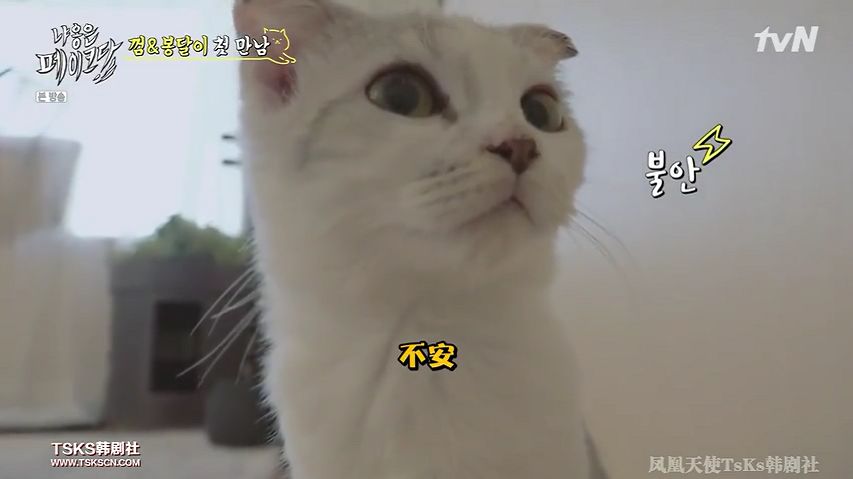 你喜欢的是他的容颜还是灵魂,你是爱她的皮囊还是灵魂