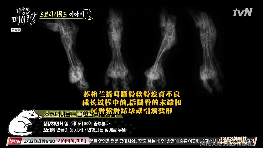 你喜欢的是他的容颜还是灵魂,你是爱她的皮囊还是灵魂