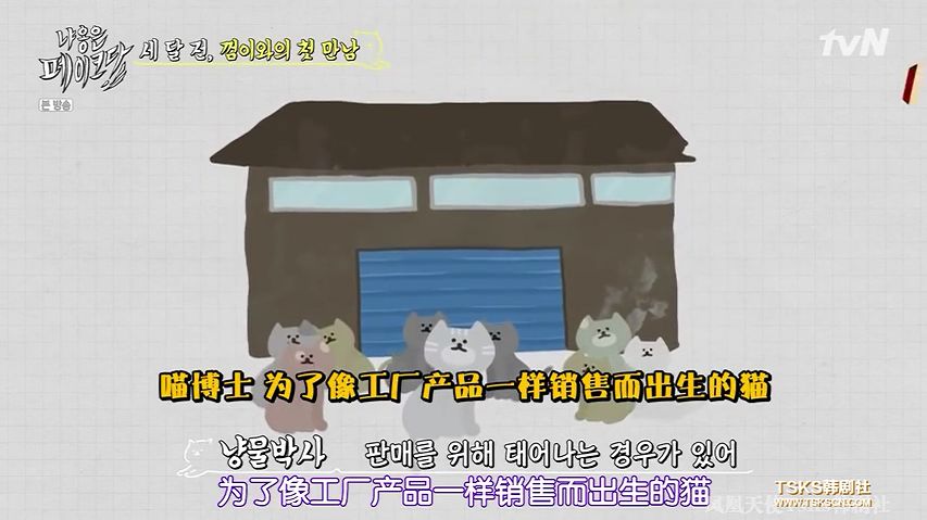 你喜欢的是他的容颜还是灵魂,你是爱她的皮囊还是灵魂