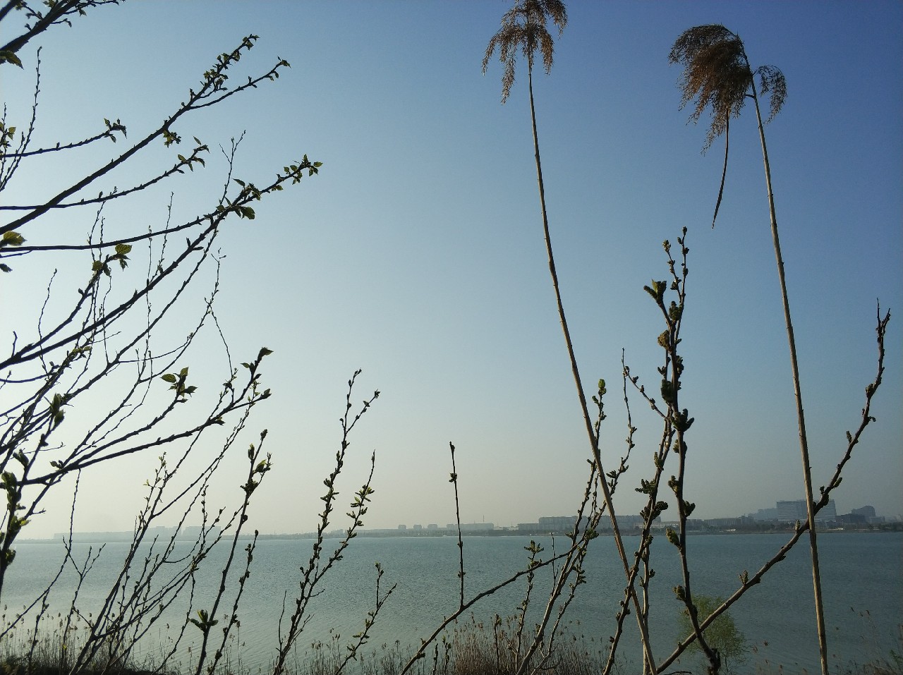 阳春三月秋高气爽,阳春三月太阳暖洋洋的