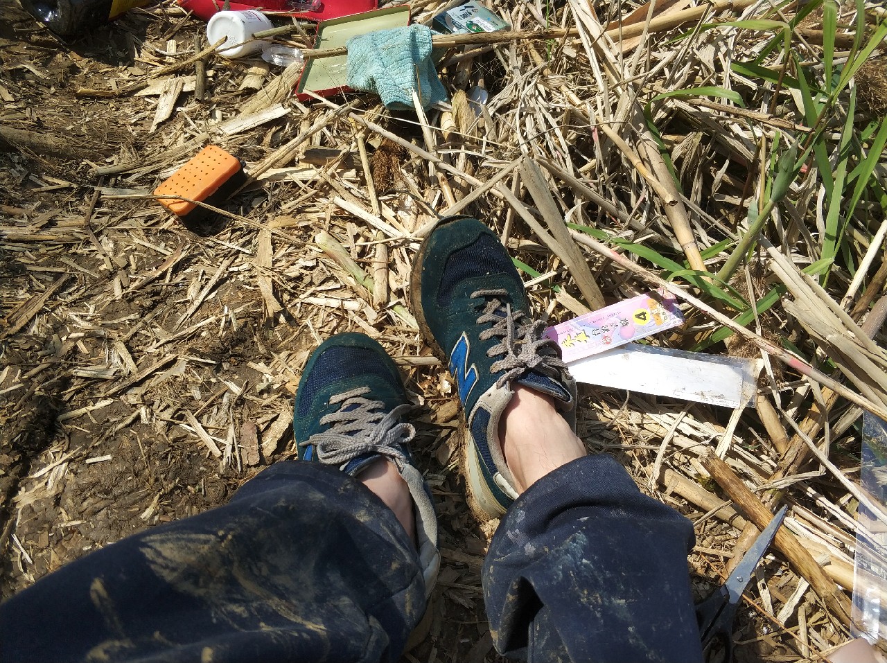 阳春三月秋高气爽,阳春三月太阳暖洋洋的