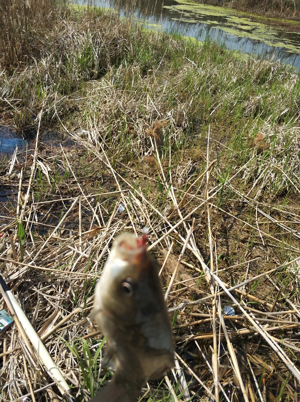 阳春三月秋高气爽,阳春三月太阳暖洋洋的