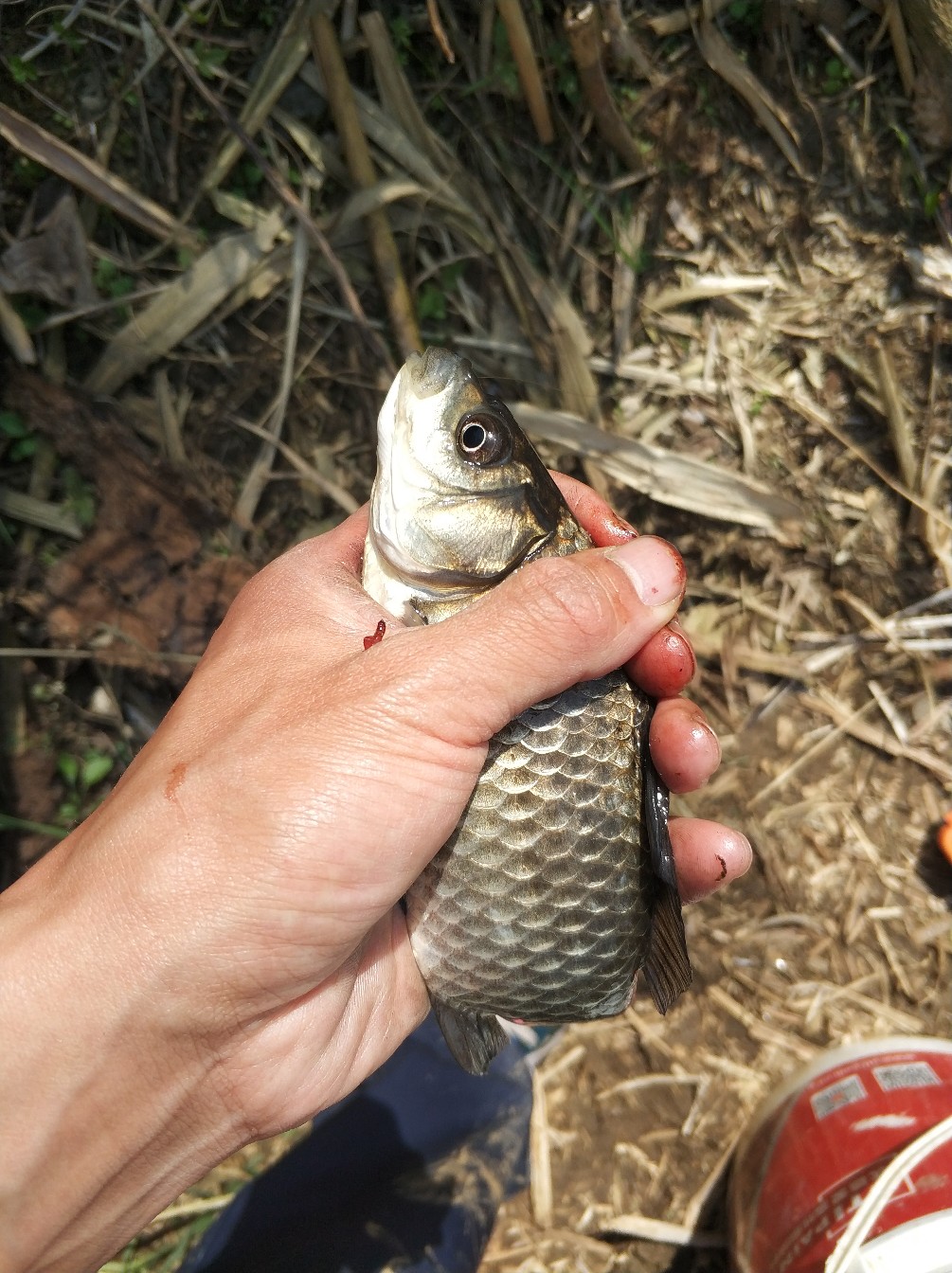 阳春三月秋高气爽,阳春三月太阳暖洋洋的