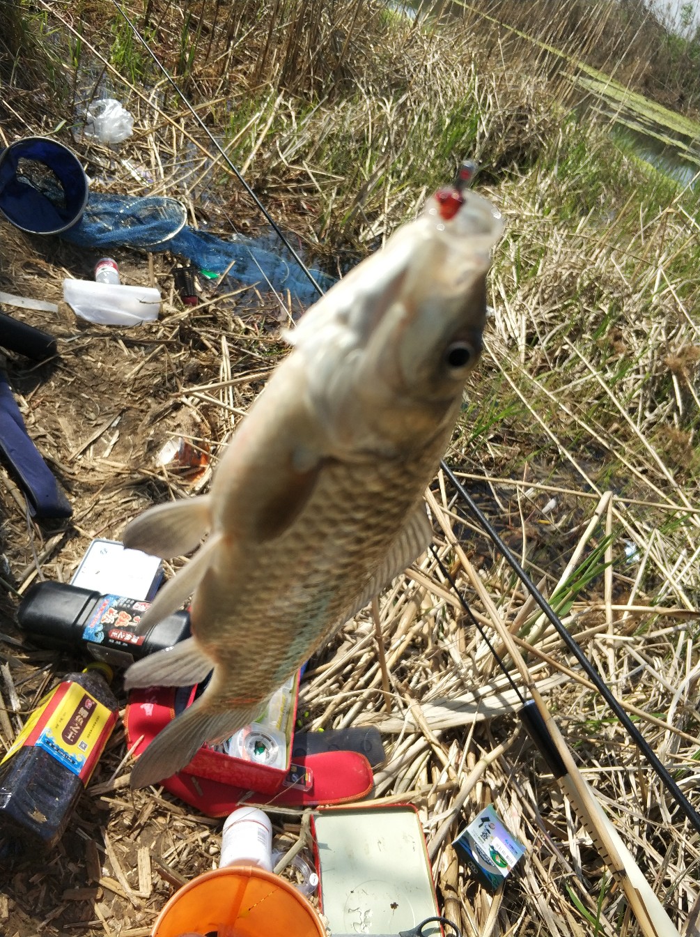 阳春三月秋高气爽,阳春三月太阳暖洋洋的