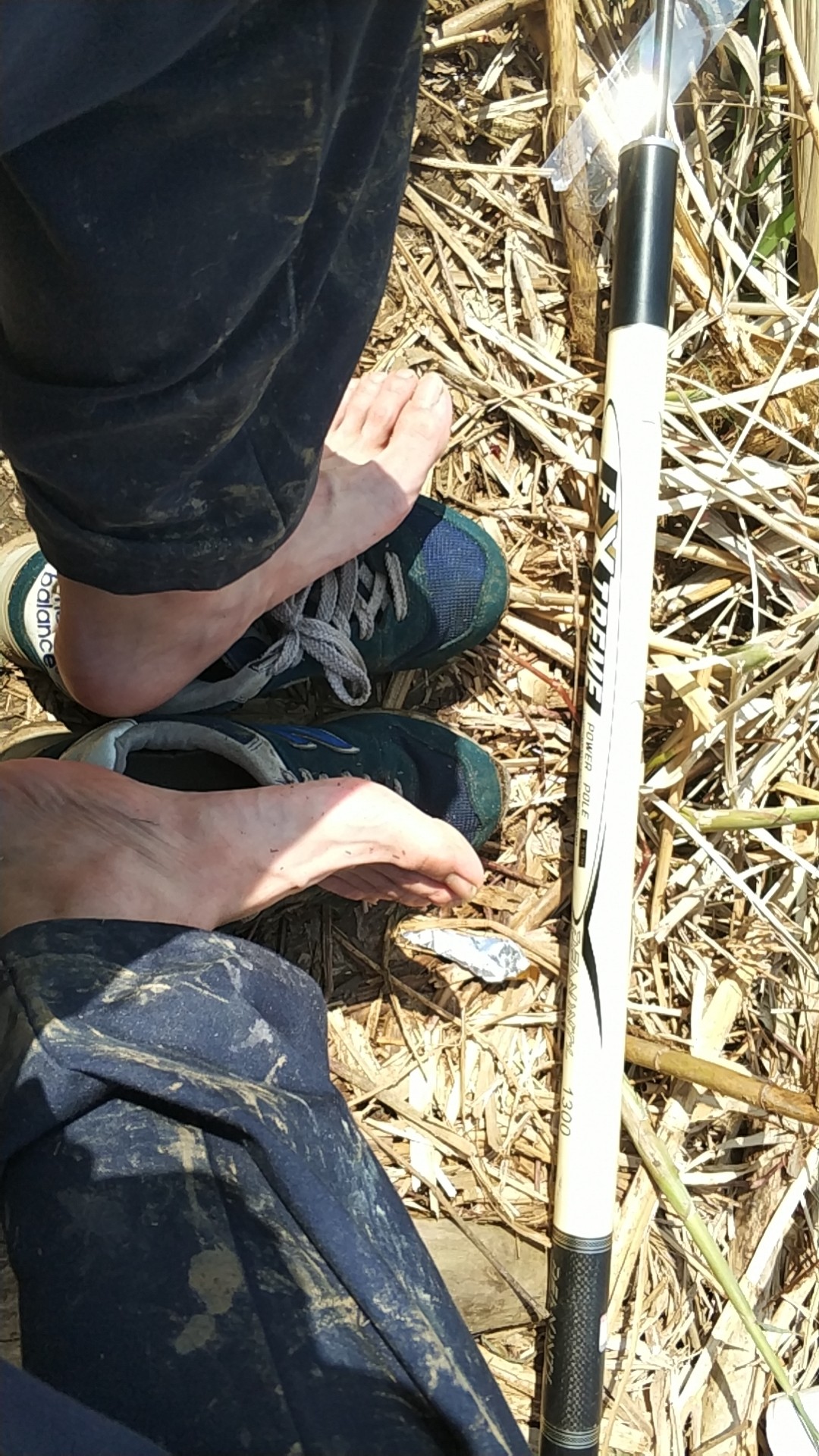 阳春三月秋高气爽,阳春三月太阳暖洋洋的