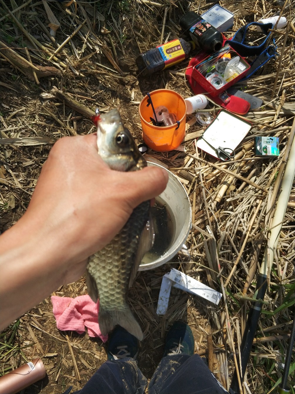 阳春三月秋高气爽,阳春三月太阳暖洋洋的