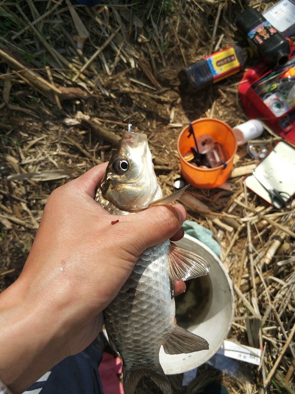 阳春三月秋高气爽,阳春三月太阳暖洋洋的