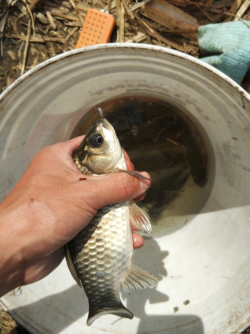 阳春三月秋高气爽,阳春三月太阳暖洋洋的