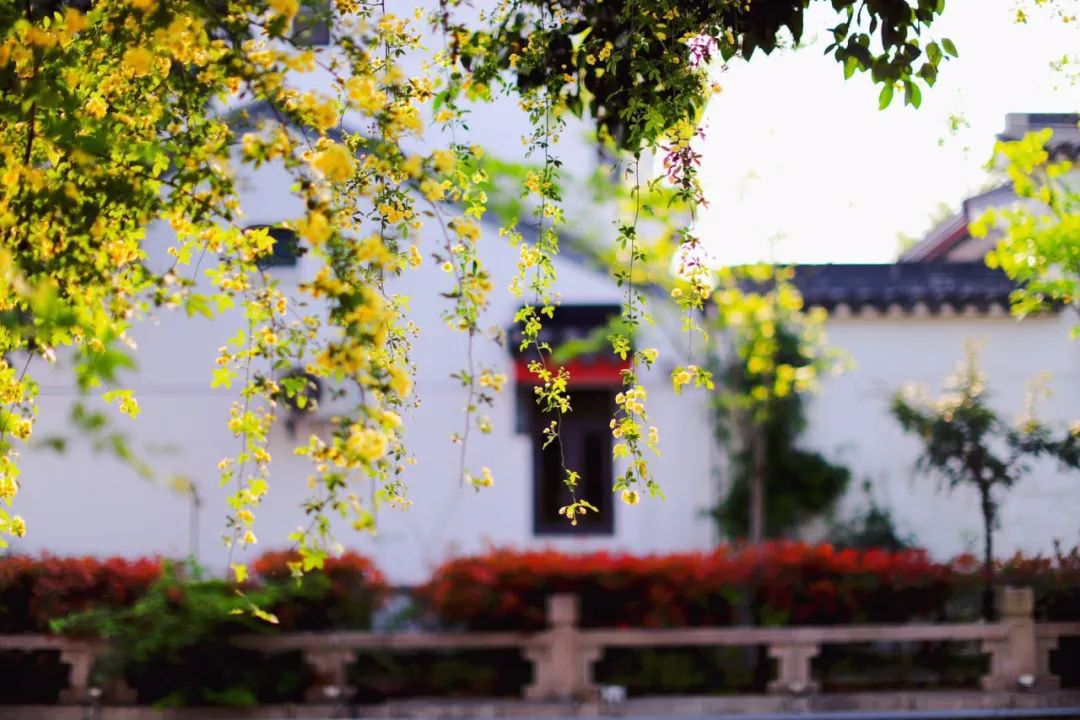 春天真是美不胜收,诗词里的春天美醉了