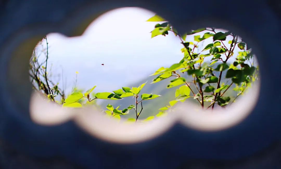 春天真是美不胜收,诗词里的春天美醉了