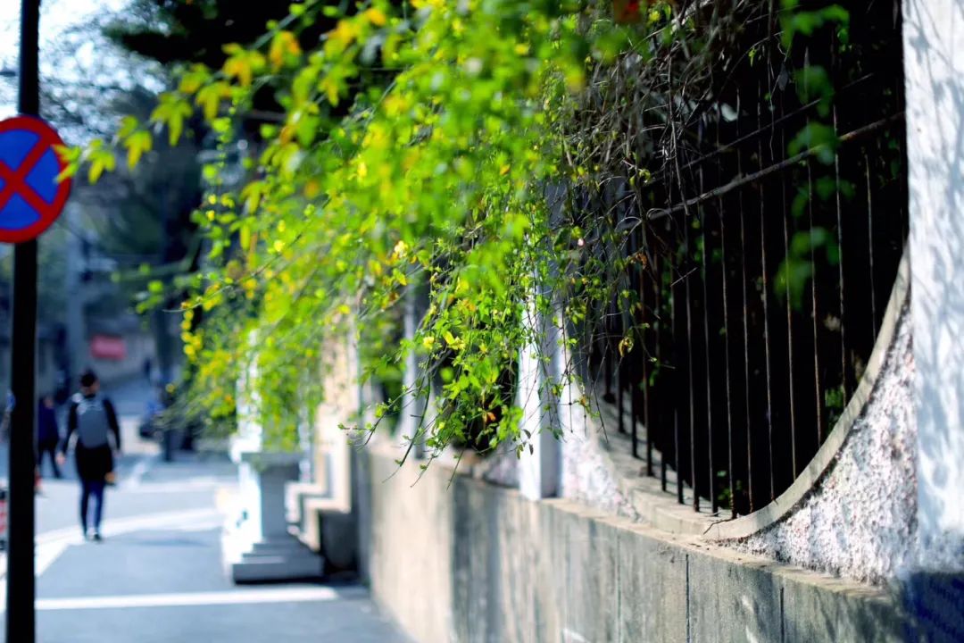 春天真是美不胜收,诗词里的春天美醉了