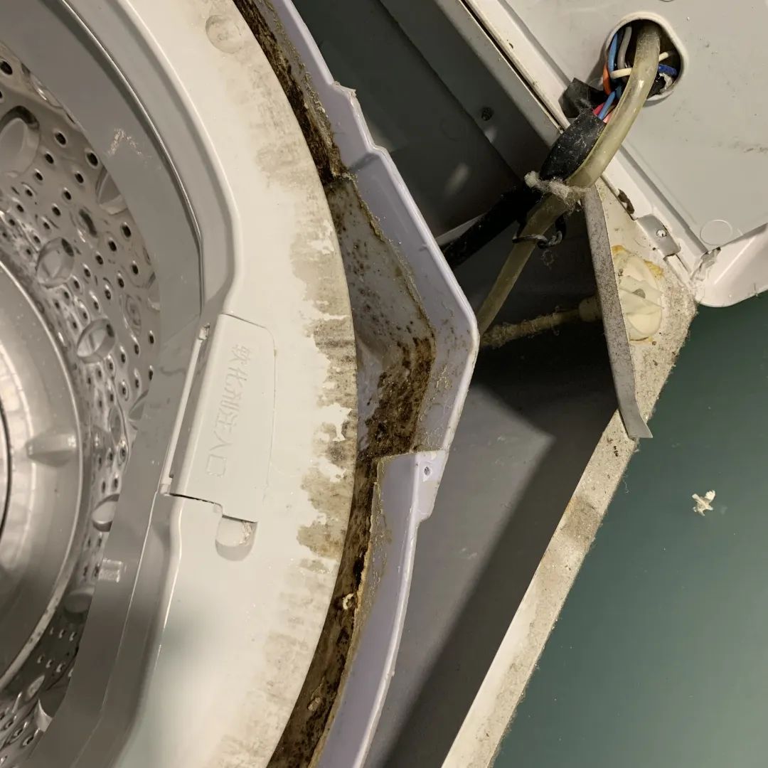 你绝对不知道洗衣机有多脏,你家的洗衣机原来这么脏