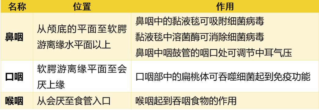 慢性咽炎会癌变吗,慢性咽炎癌变的前兆会有脖子痛吗