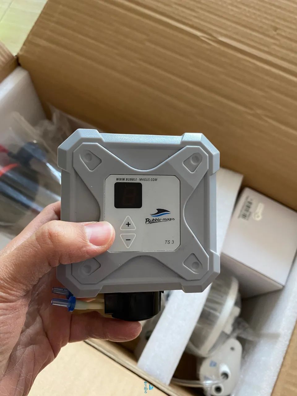 2020款，BM第3代钙反实测