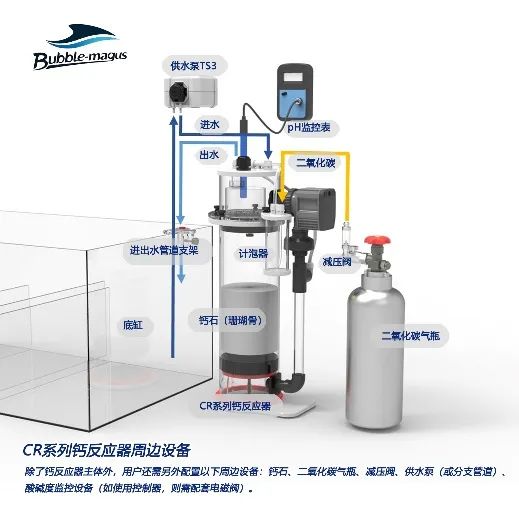 2020款，BM第3代钙反实测