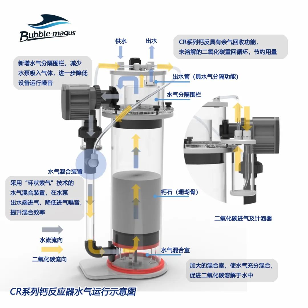 2020款，BM第3代钙反实测