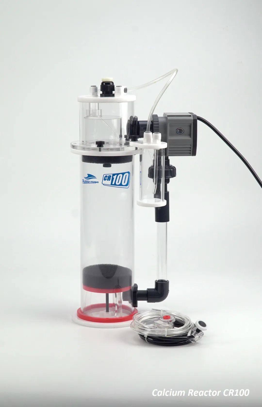 2020款，BM第3代钙反实测