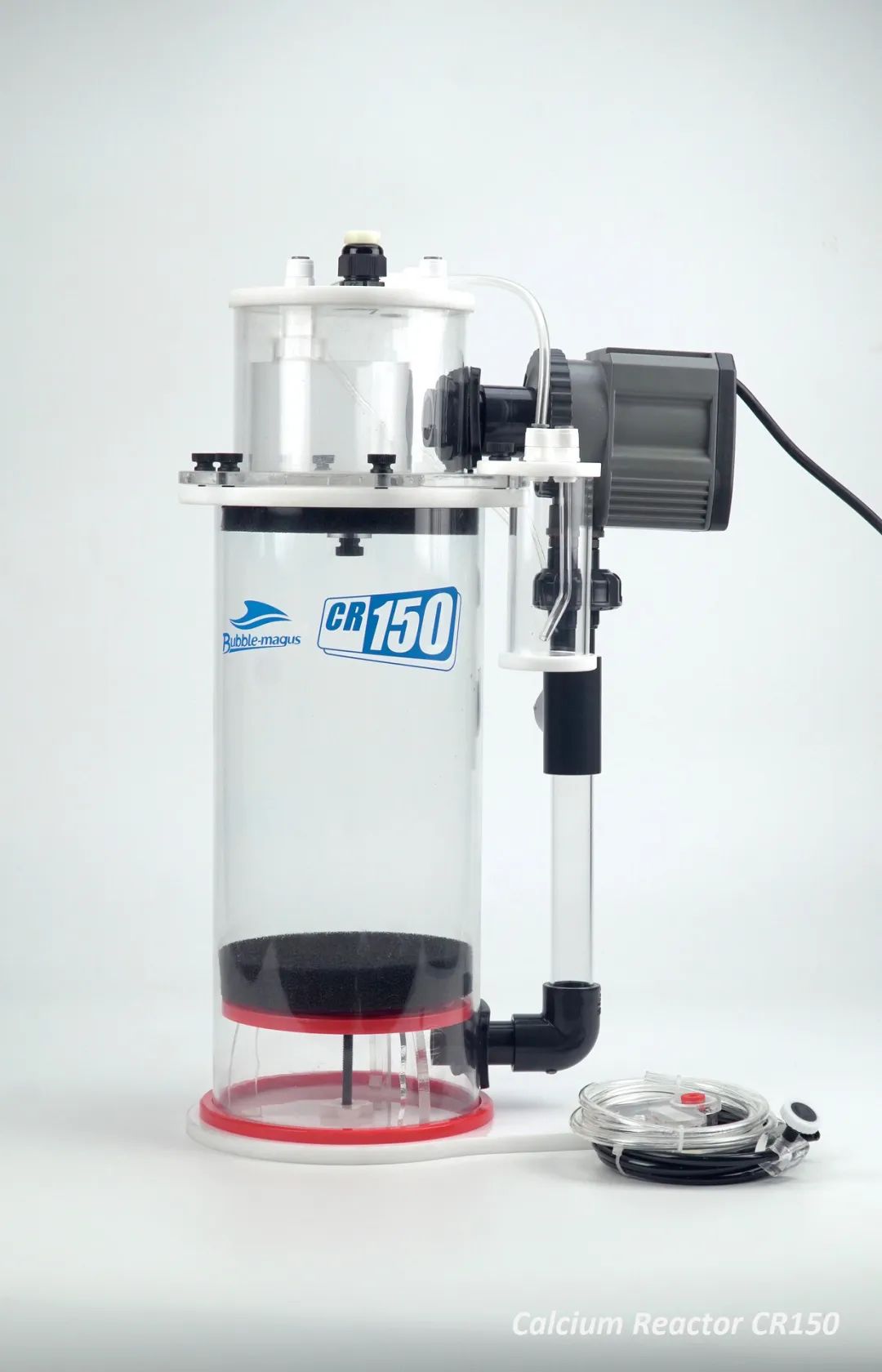 2020款，BM第3代钙反实测