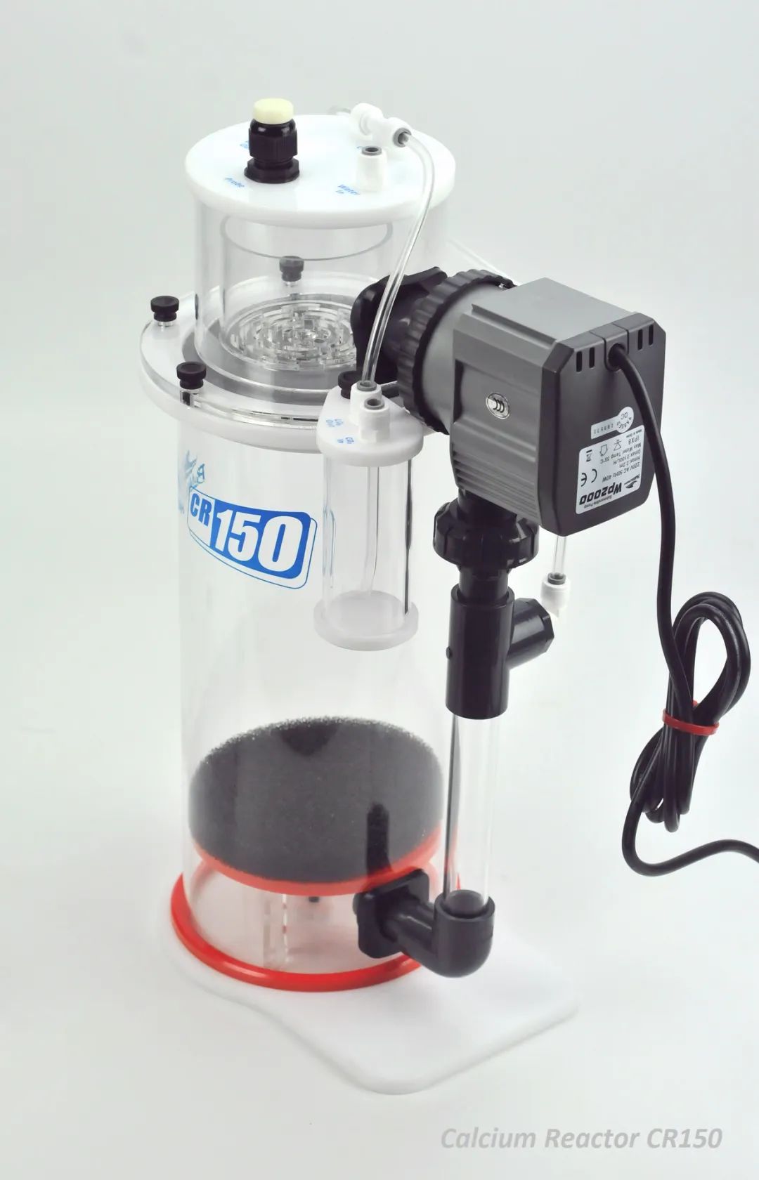 2020款，BM第3代钙反实测