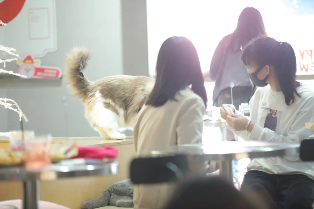 二十四小时不打烊书店广州,24小时不打烊书店广州