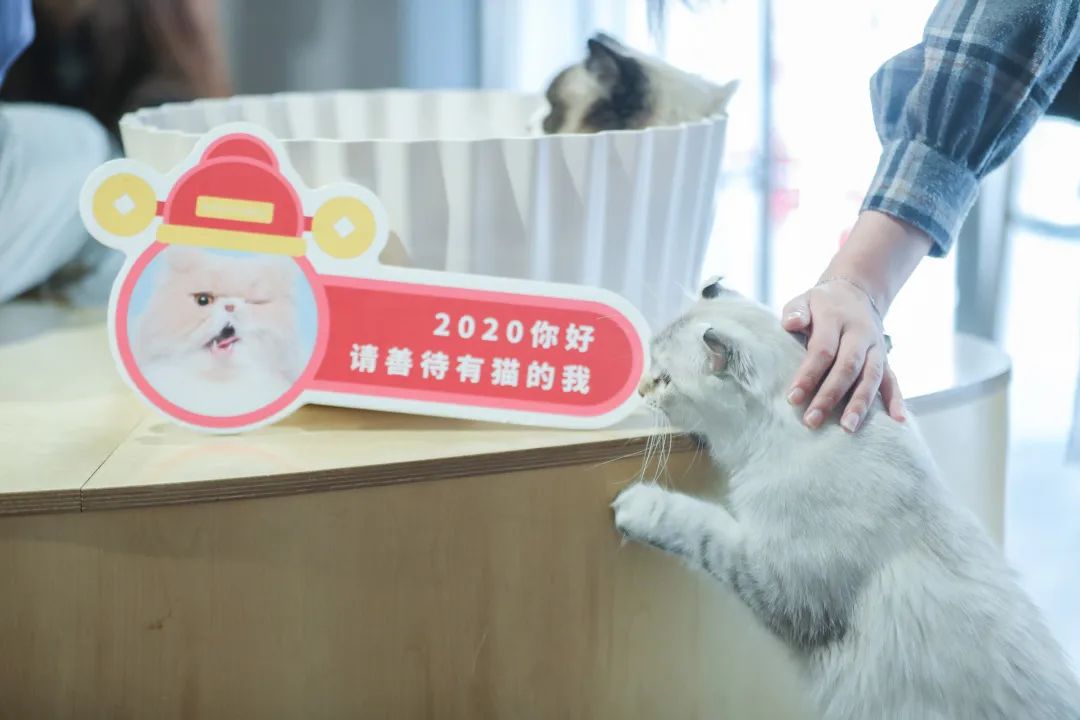 二十四小时不打烊书店广州,24小时不打烊书店广州