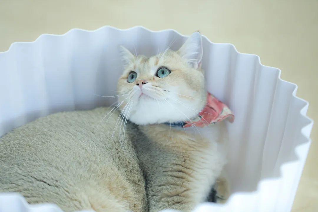 二十四小时不打烊书店广州,24小时不打烊书店广州