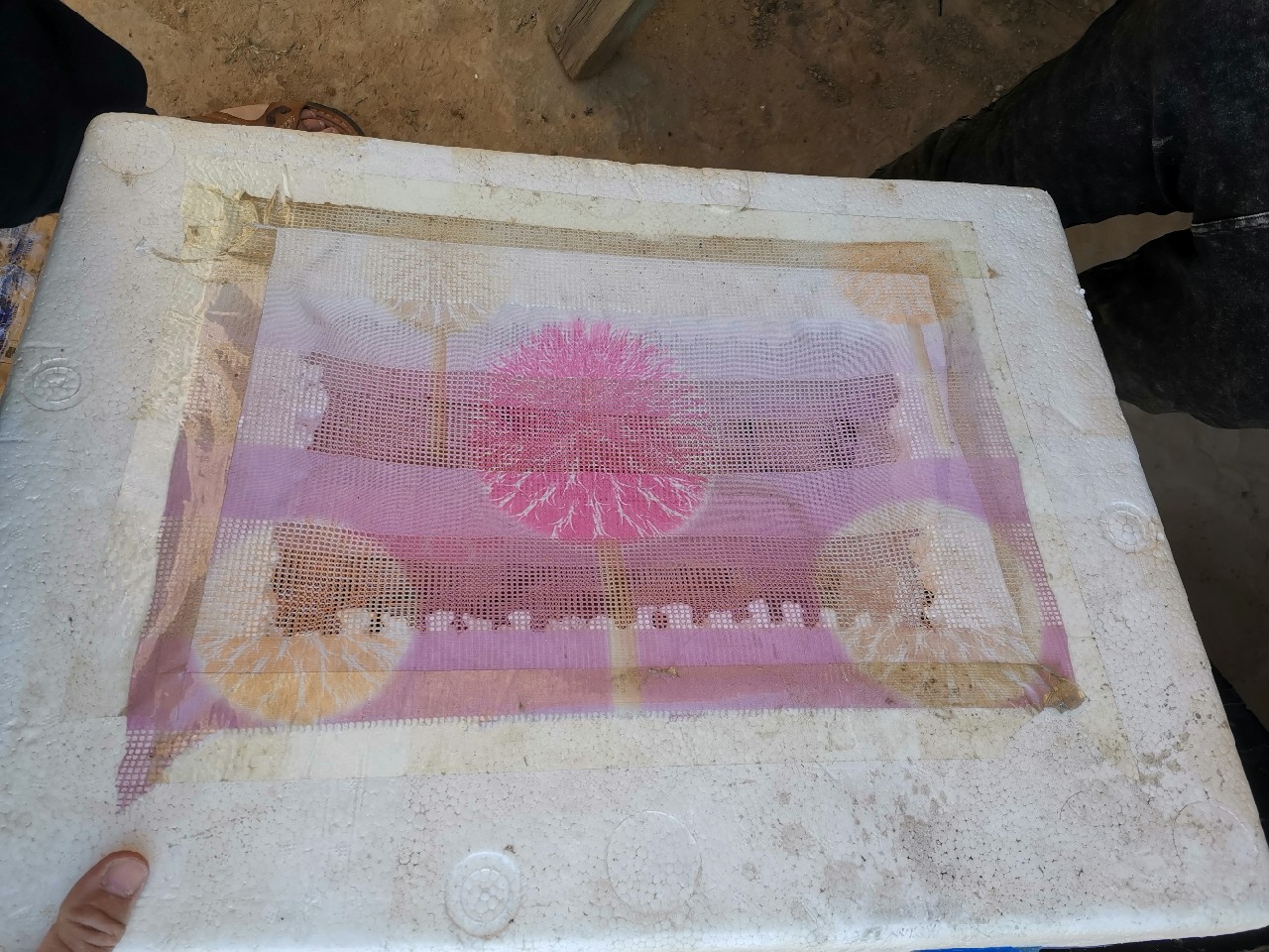 等待春暖鱼开口，先给蚯蚓安个家