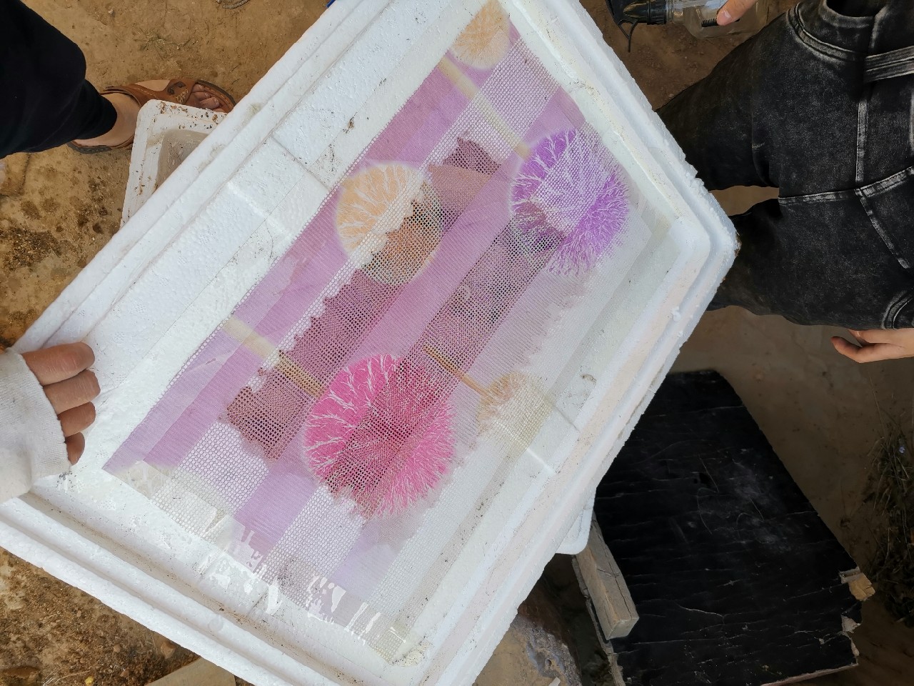 等待春暖鱼开口，先给蚯蚓安个家