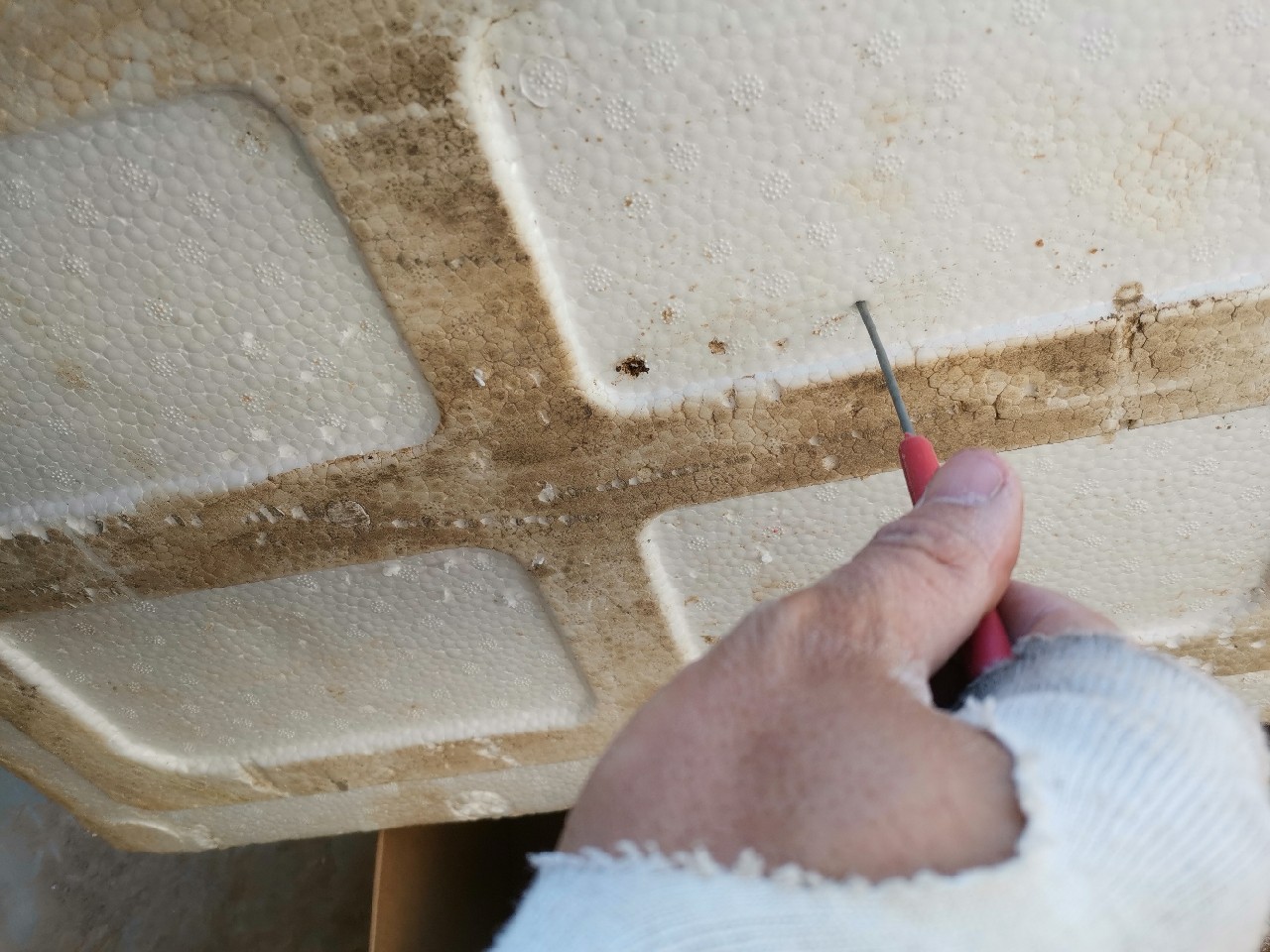 等待春暖鱼开口，先给蚯蚓安个家