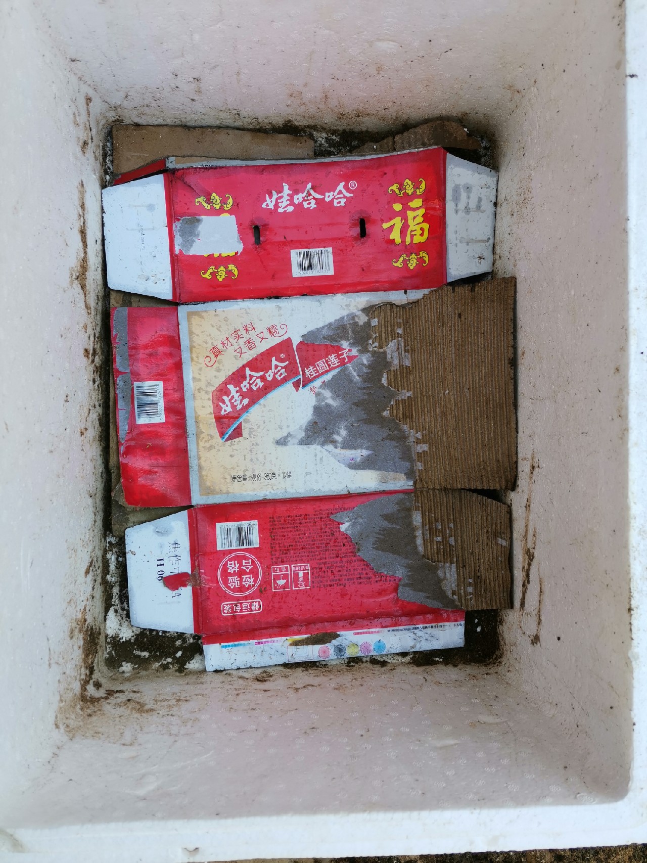 等待春暖鱼开口，先给蚯蚓安个家