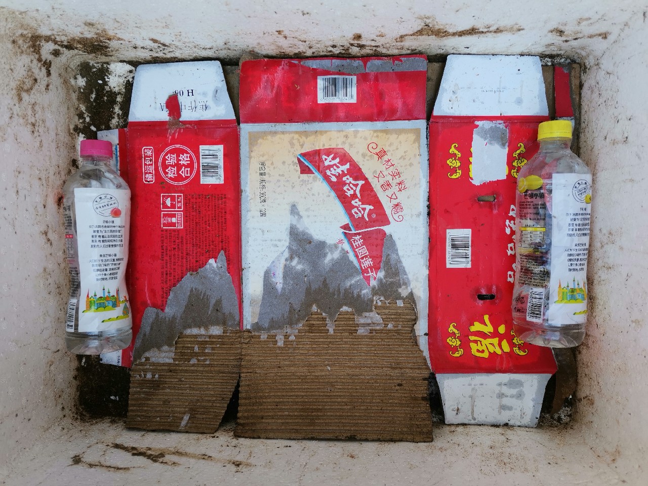 等待春暖鱼开口，先给蚯蚓安个家