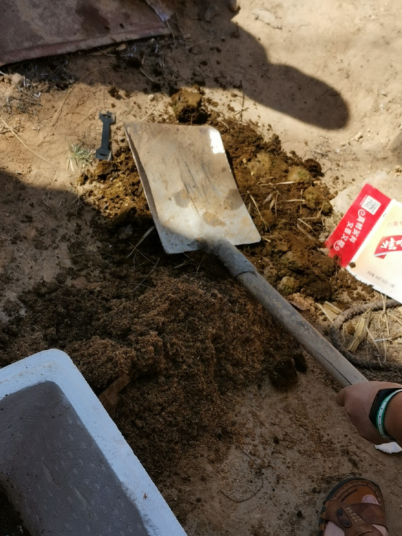 等待春暖鱼开口，先给蚯蚓安个家