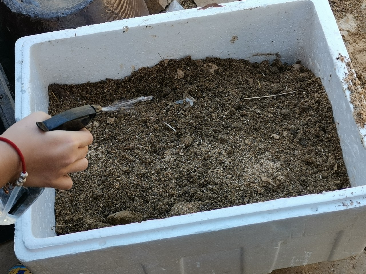 等待春暖鱼开口，先给蚯蚓安个家