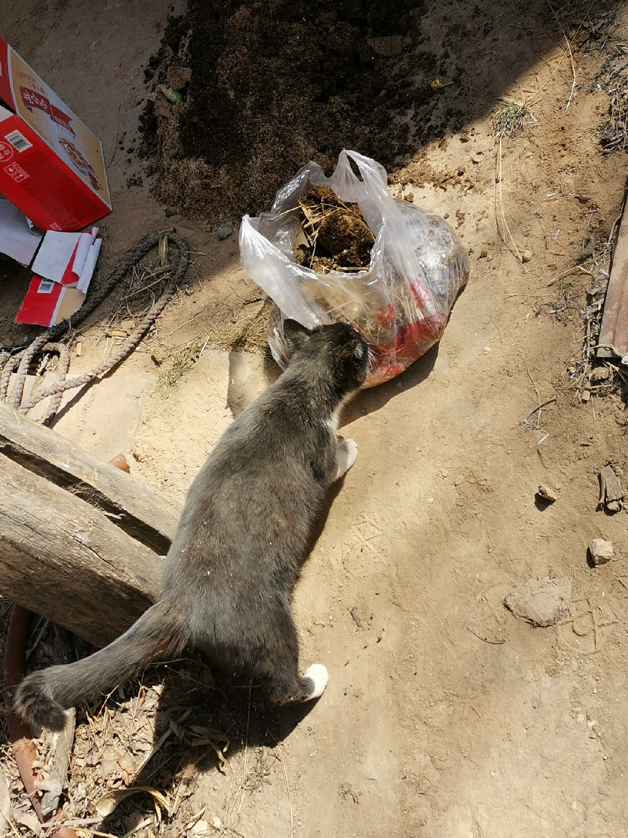 等待春暖鱼开口，先给蚯蚓安个家