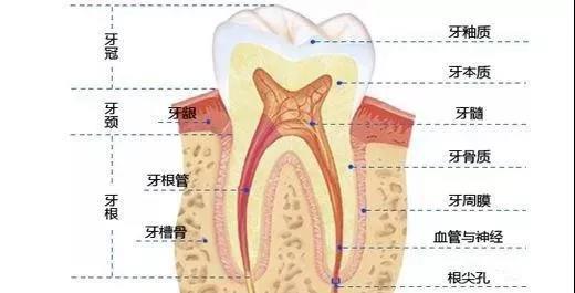 青岛治疗牙齿最佳方法,牙齿发黄怎么办最快解决方法