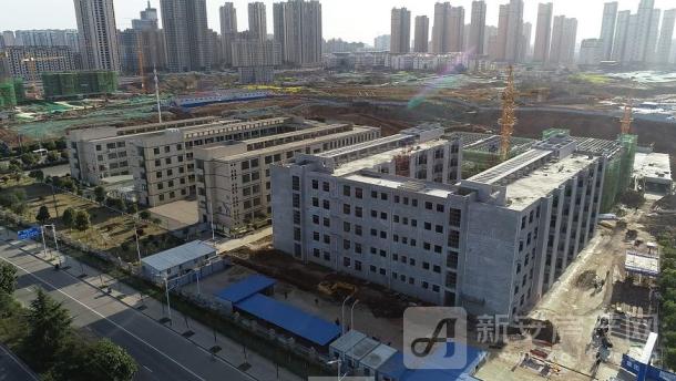 市区十所学校建设推进会,七所新增双一流大学