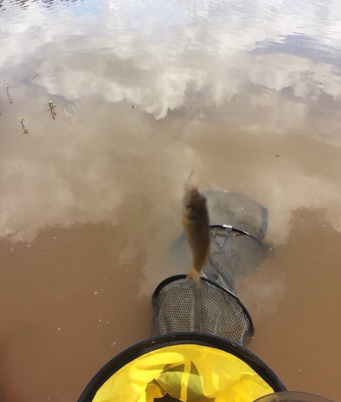 穿上节日盛装为祖国庆生,身穿战袍