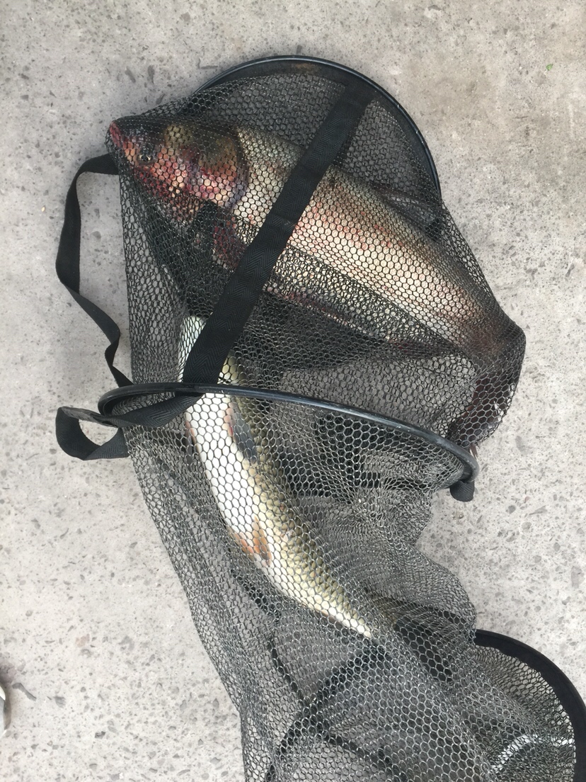 穿上节日盛装为祖国庆生,身穿战袍