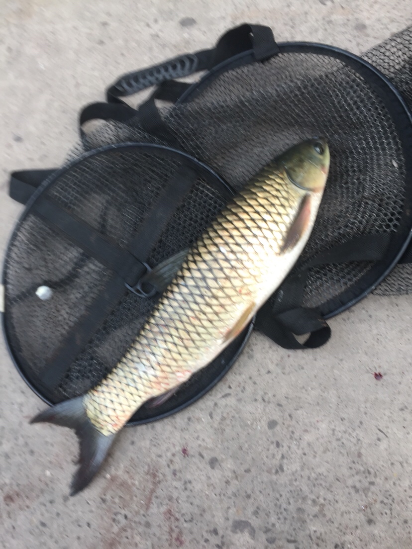 穿上节日盛装为祖国庆生,身穿战袍