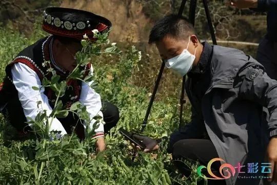 疫情防控和三农齐头并进,疫情期间教育脱贫攻坚工作