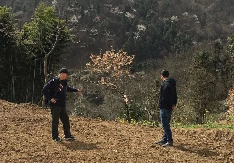 疫情防控和三农齐头并进,疫情期间教育脱贫攻坚工作