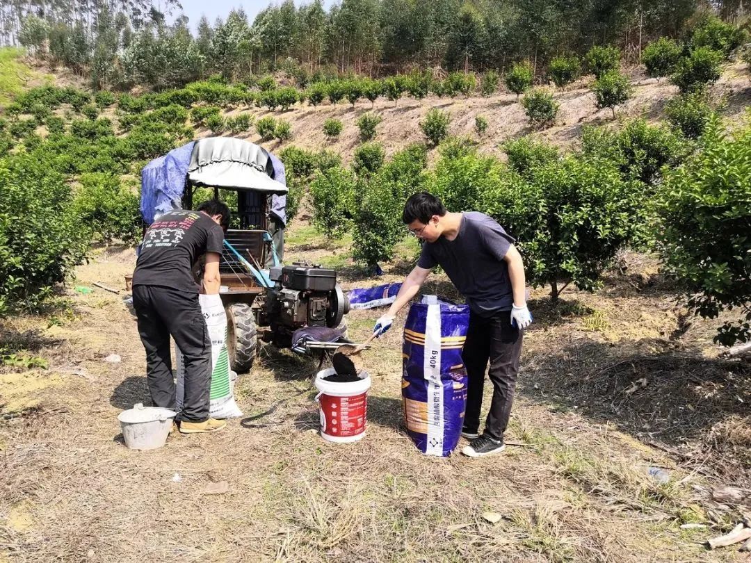 疫情防控和三农齐头并进,疫情期间教育脱贫攻坚工作