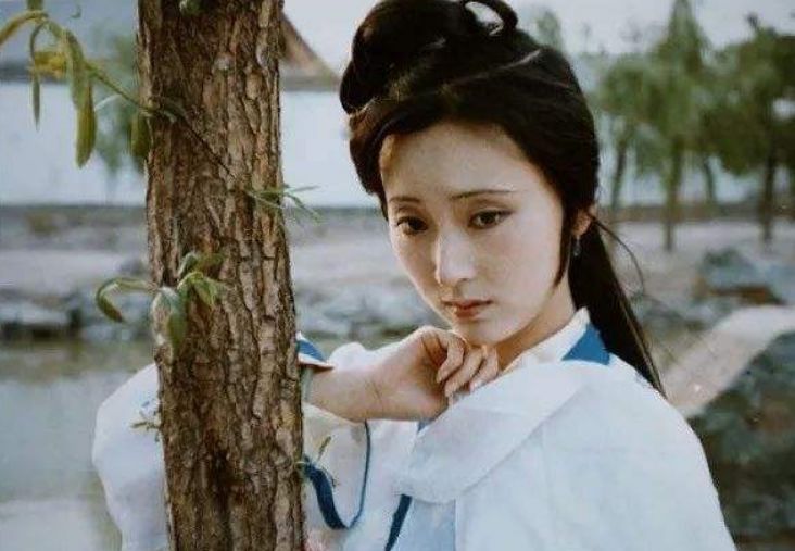 张庆善红楼梦,张庆善对红楼梦的评价