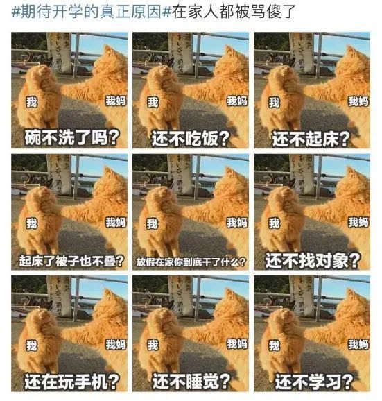 坦白吧,说说你期待开学的真实原因