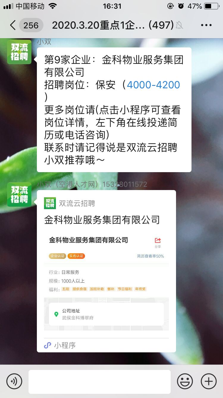 双流2024招聘会时间表,双流区哪里有现场招聘会