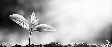 最快速有效的牙齿清洁,保持牙齿清洁可以一辈子没有蛀牙